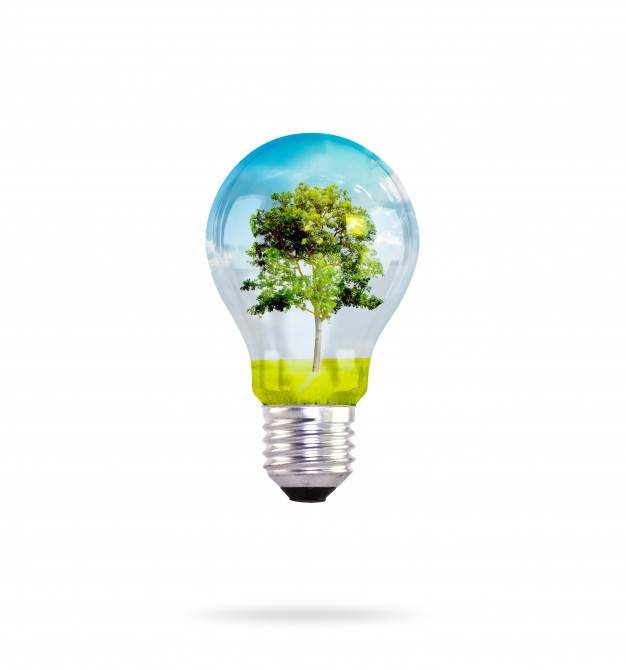 light-bulb-with-tree-inside_1232-2102.jpg (626Ã670)